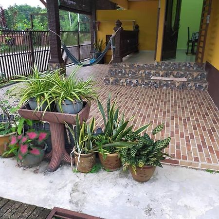 Rumah Tumpangan Di Kuala Terengganu, Terengganu Homestay D Экстерьер фото