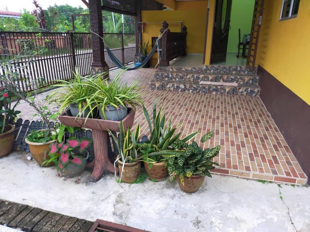 Rumah Tumpangan Di Kuala Terengganu, Terengganu Homestay D Экстерьер фото